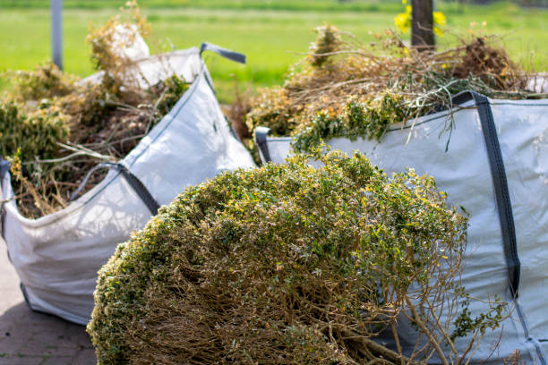 Best Trash Removal Near Me  in Clairton, PA