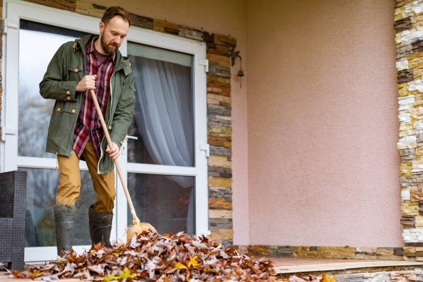 Debris Removal in Clairton, PA